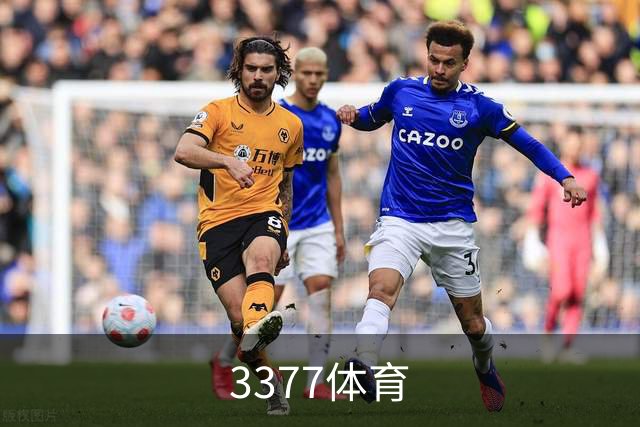3377体育 公司简介